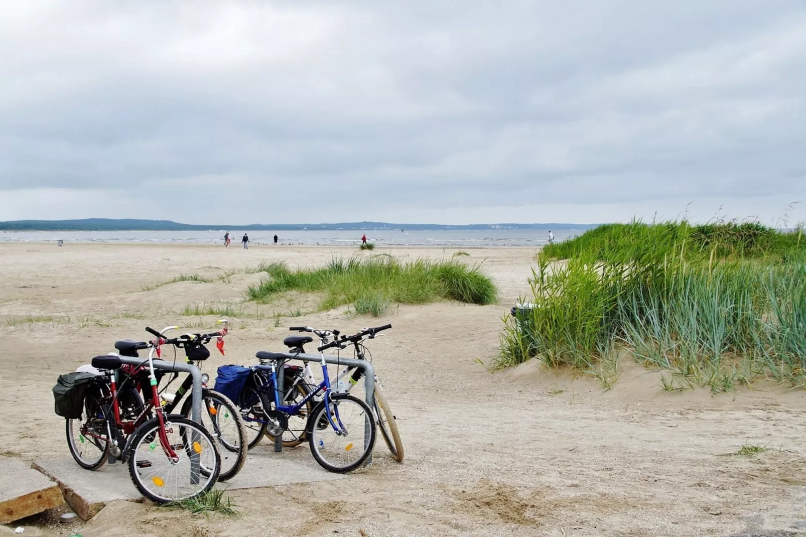 Ferienhaus Fiete Dranske-Gebieden zomer 1km