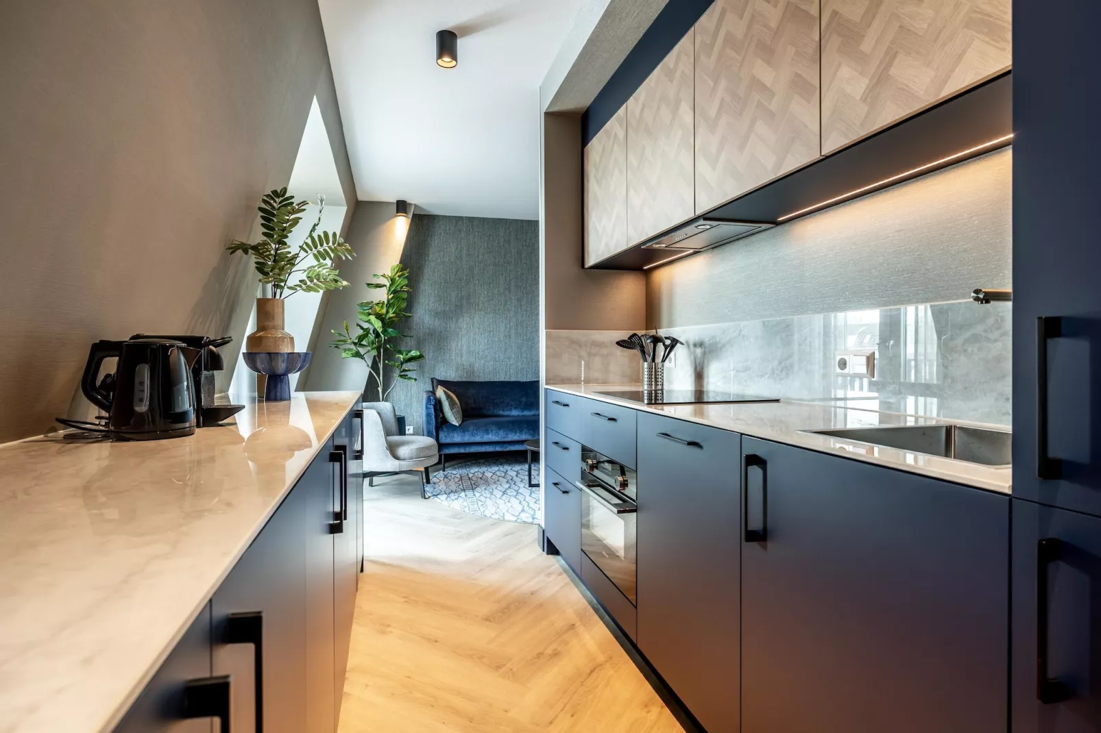 Delft 3B-Keuken