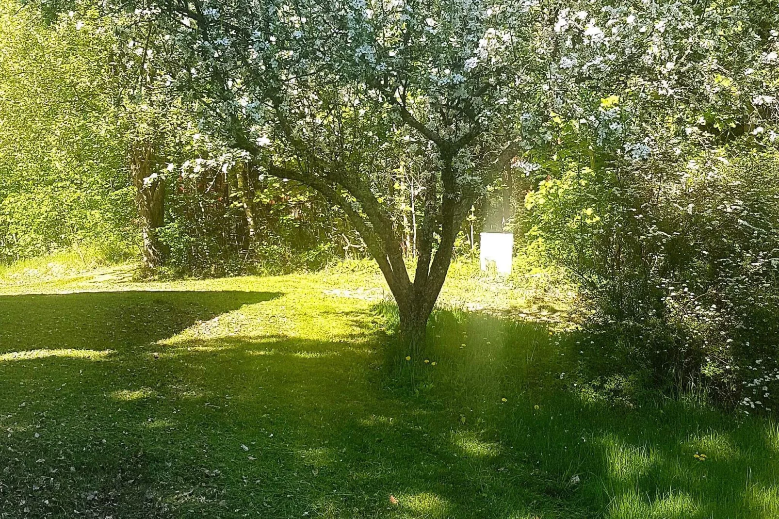6 persoons vakantie huis in BENGTSFORS-By Traum-Buitenlucht
