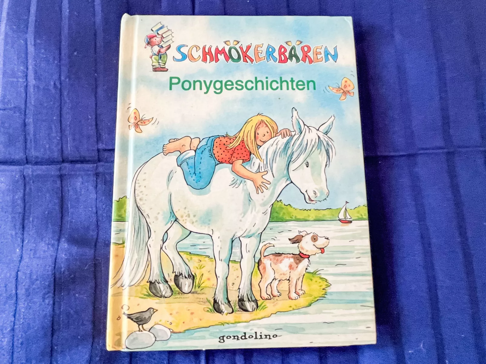 Schwarzwaldblick IV-Buiten