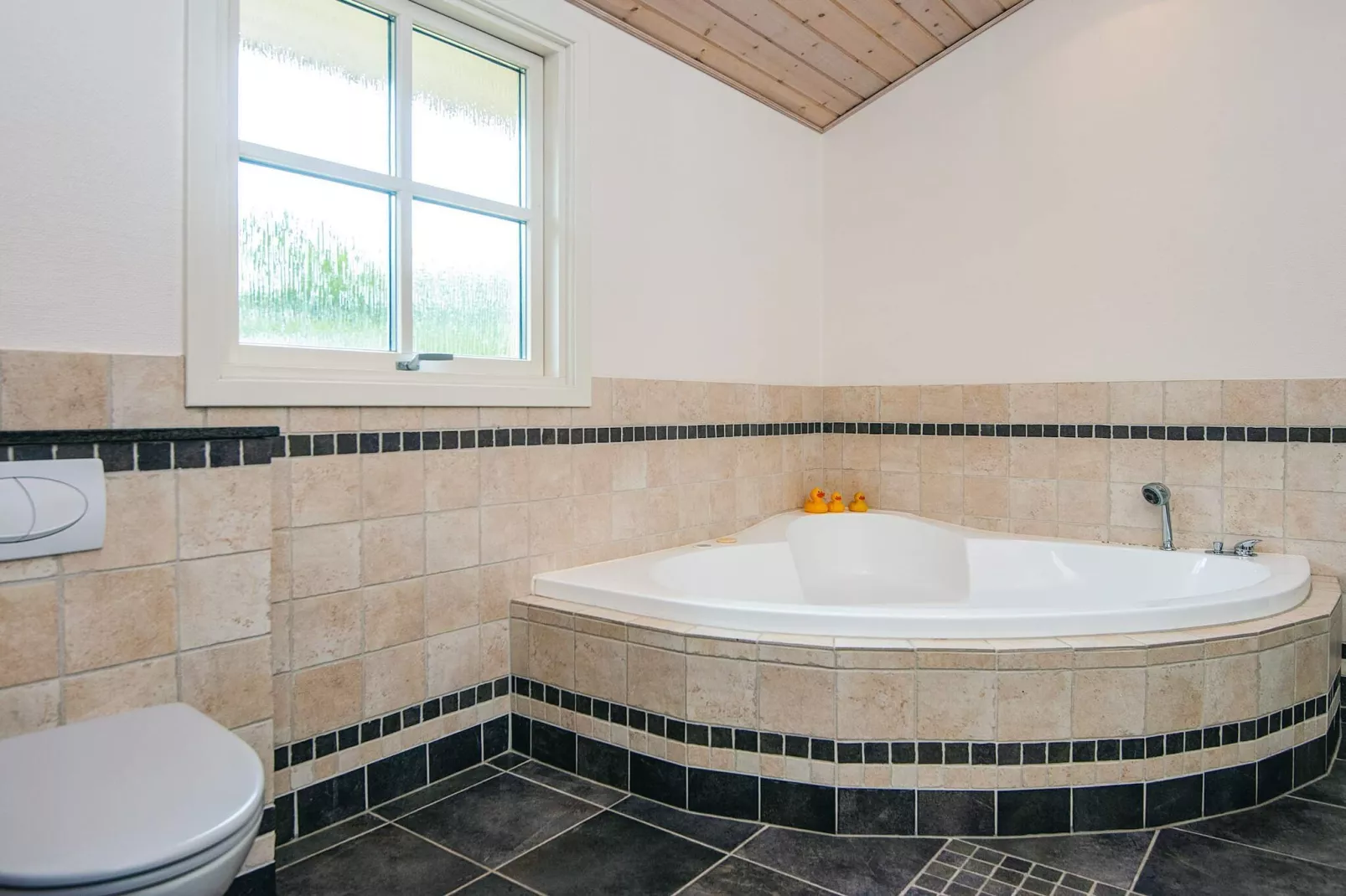 9 persoons vakantie huis in Fanø-Spa