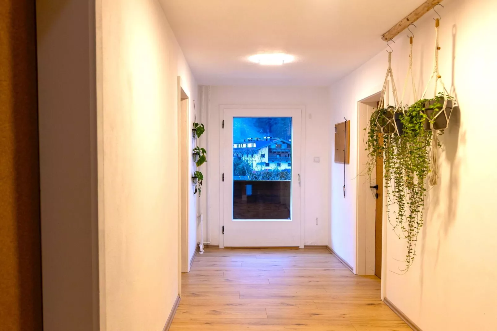 Backyard Mountain Hostel-Overloop