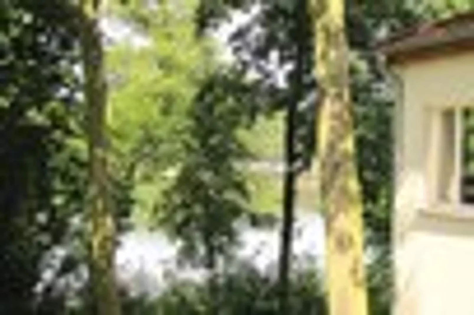 Ferienhaus 140 qm-Uitzicht zomer