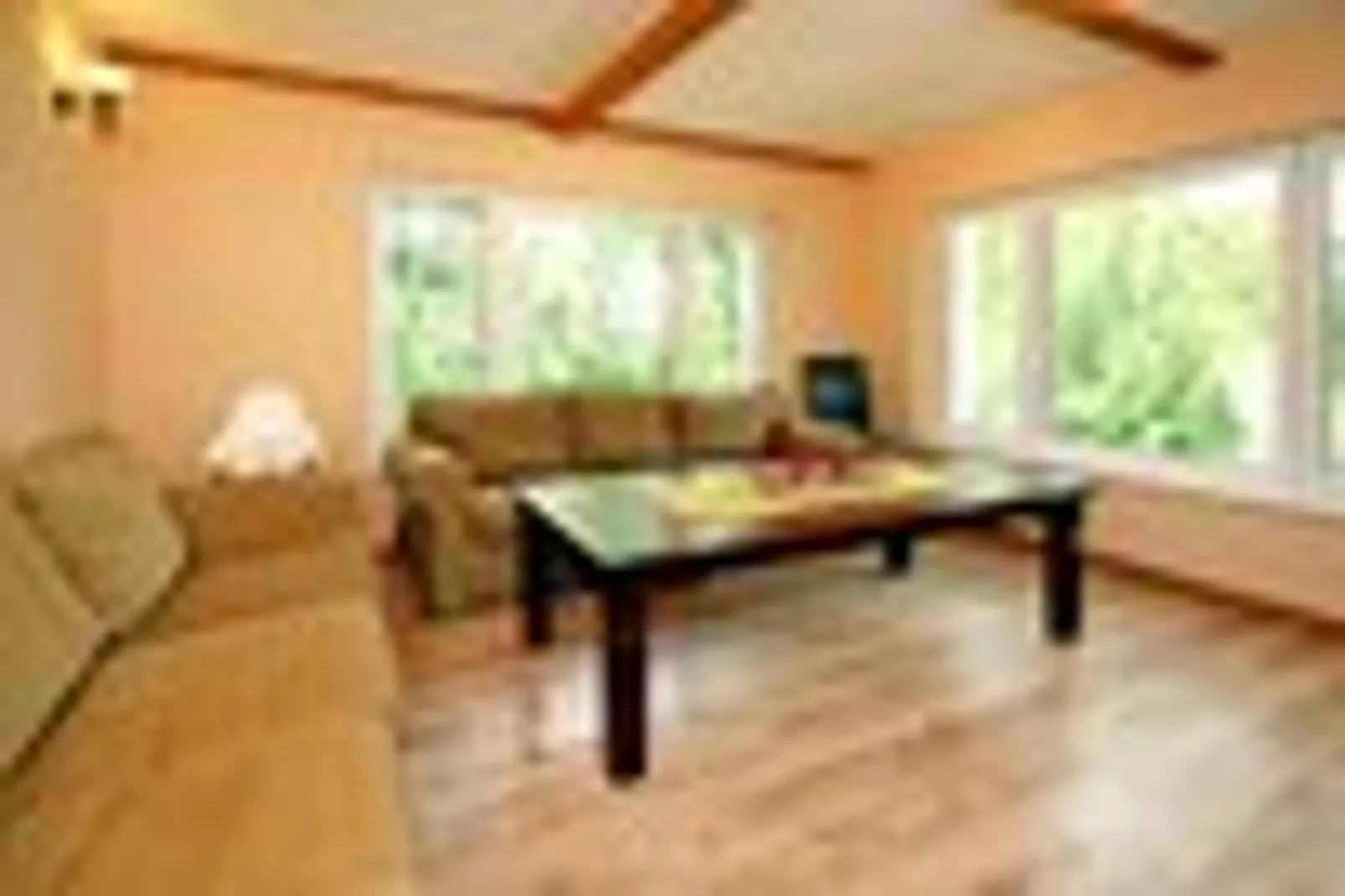 Ferienhaus 140 qm-Woonkamer