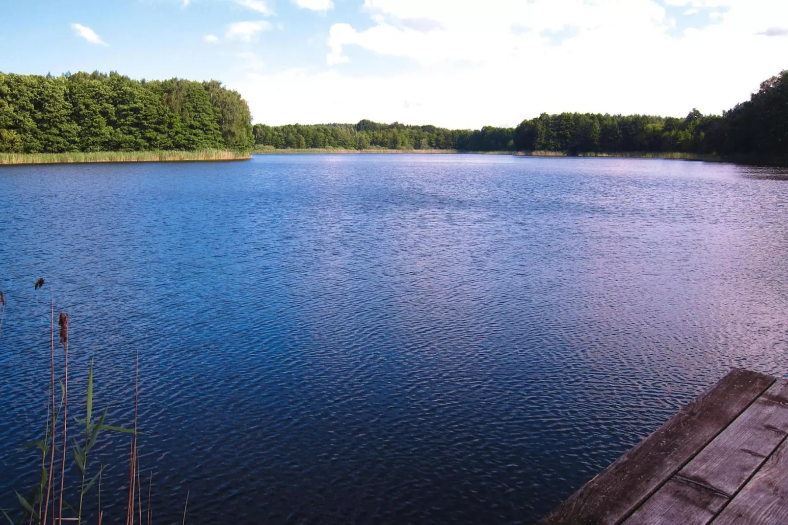 Bungalow deluxe 48 qm-Gebieden zomer 20km