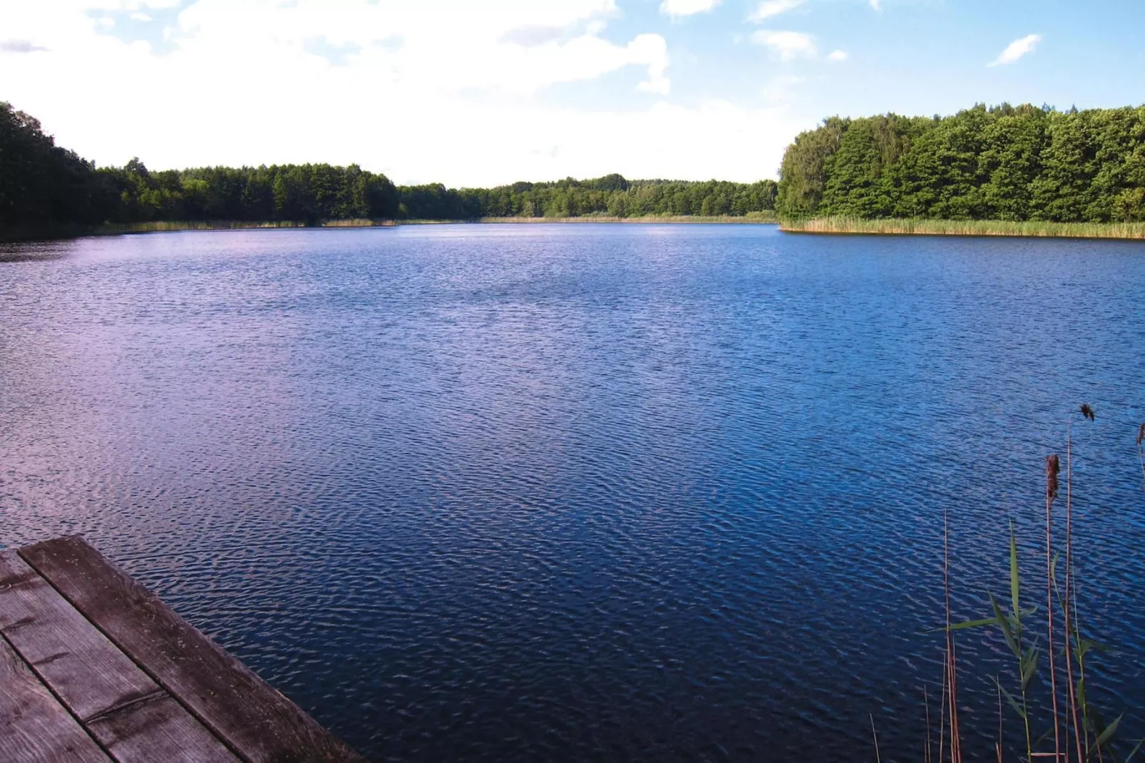 Bungalow deluxe 48 qm-Waterzicht