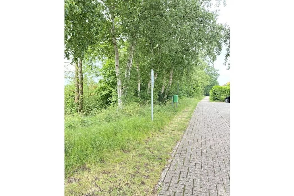 494788-Niet-getagd