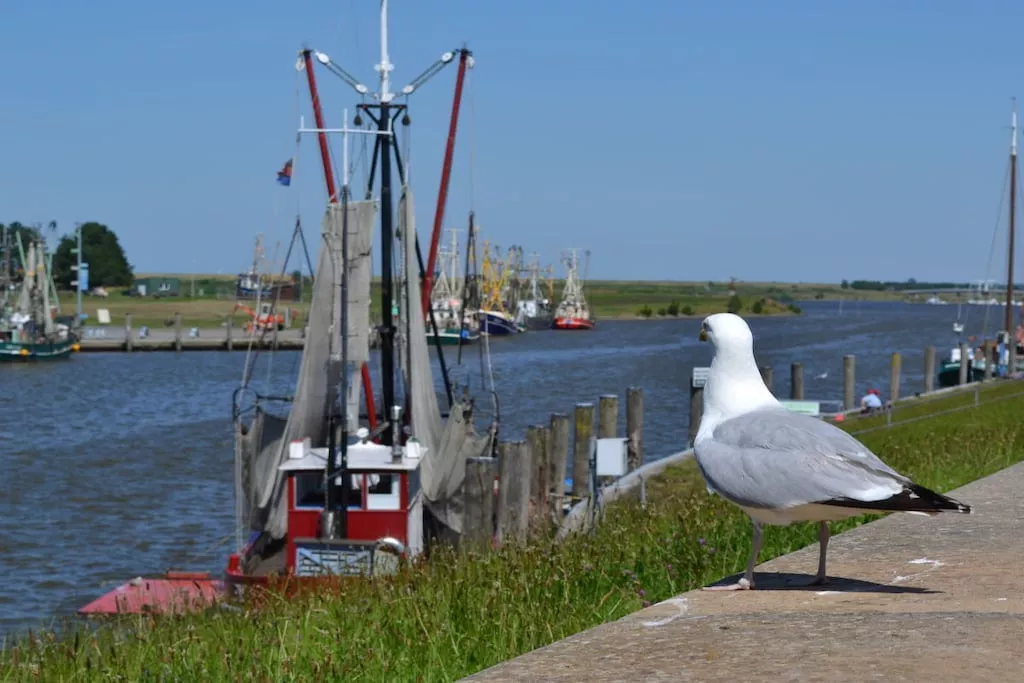 184619-Niet-getagd