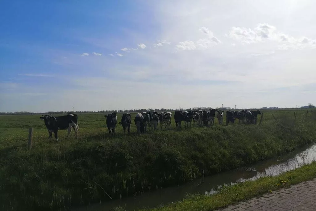 323415-Niet-getagd