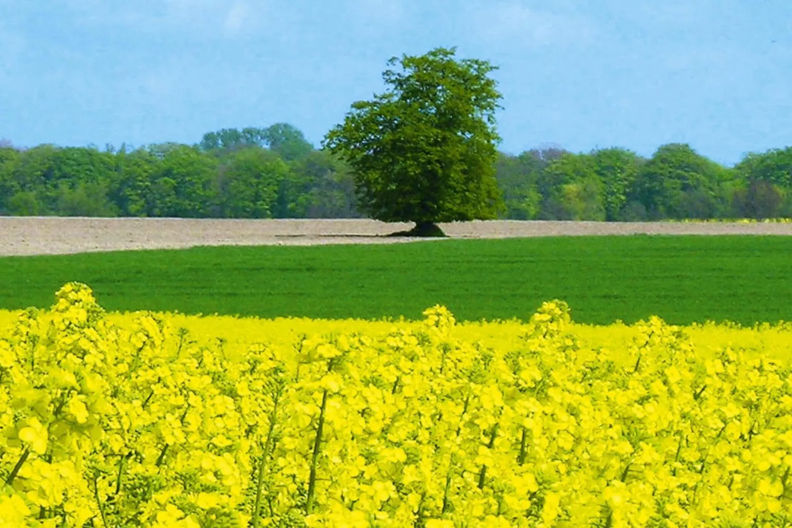 Fewo 50 qm-Gebieden zomer 20km