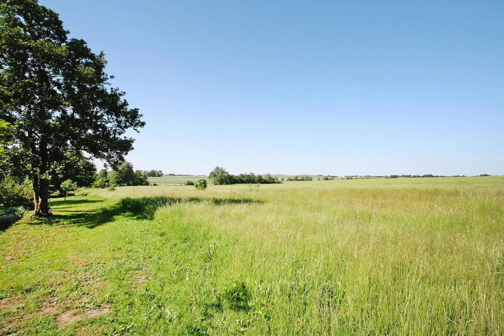 Fewo 50 qm-Gebieden zomer 1km