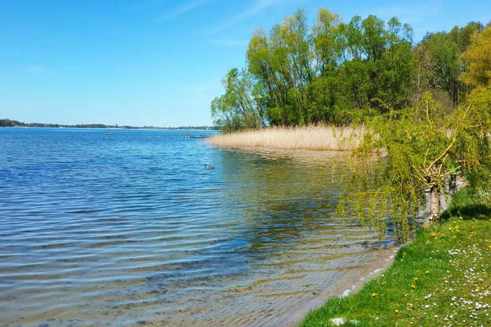 Ferienwohnung am Plauer See-Gebieden zomer 5km