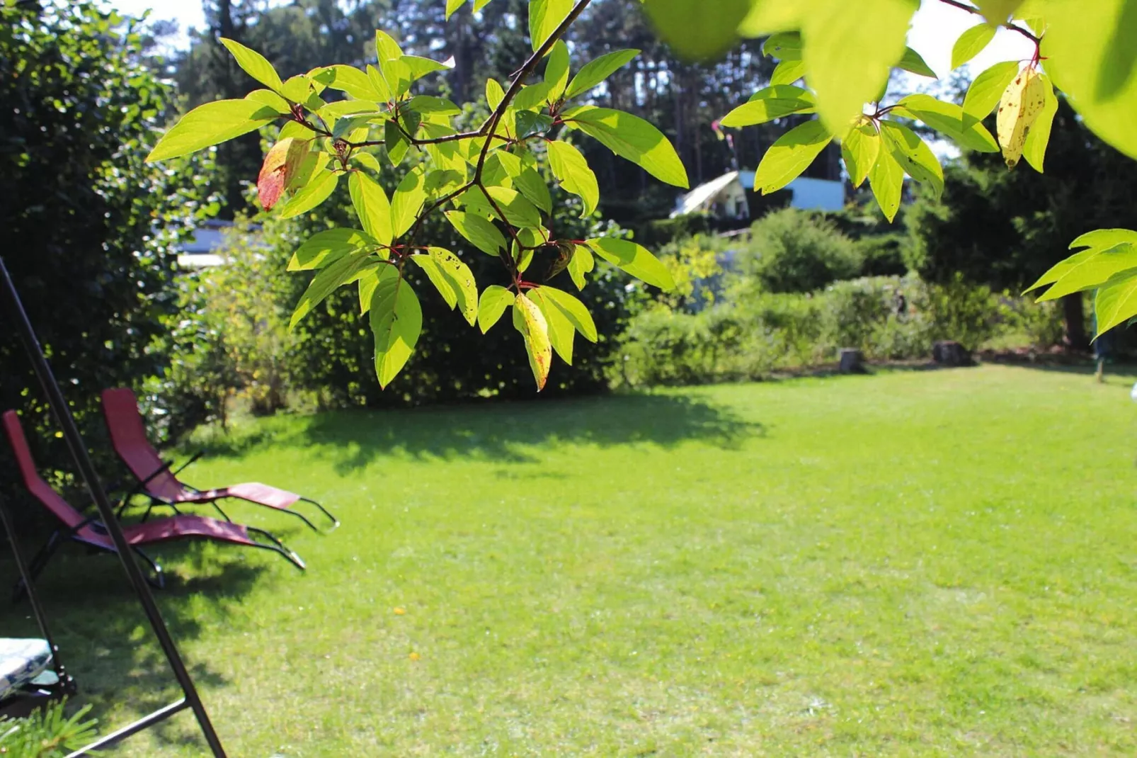 Doppelbungalow in Twietfort-Tuinen zomer