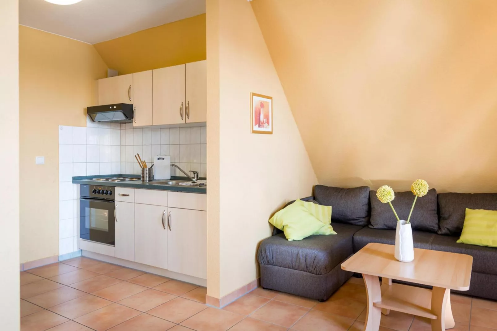 Müritz 45 qm-Keuken