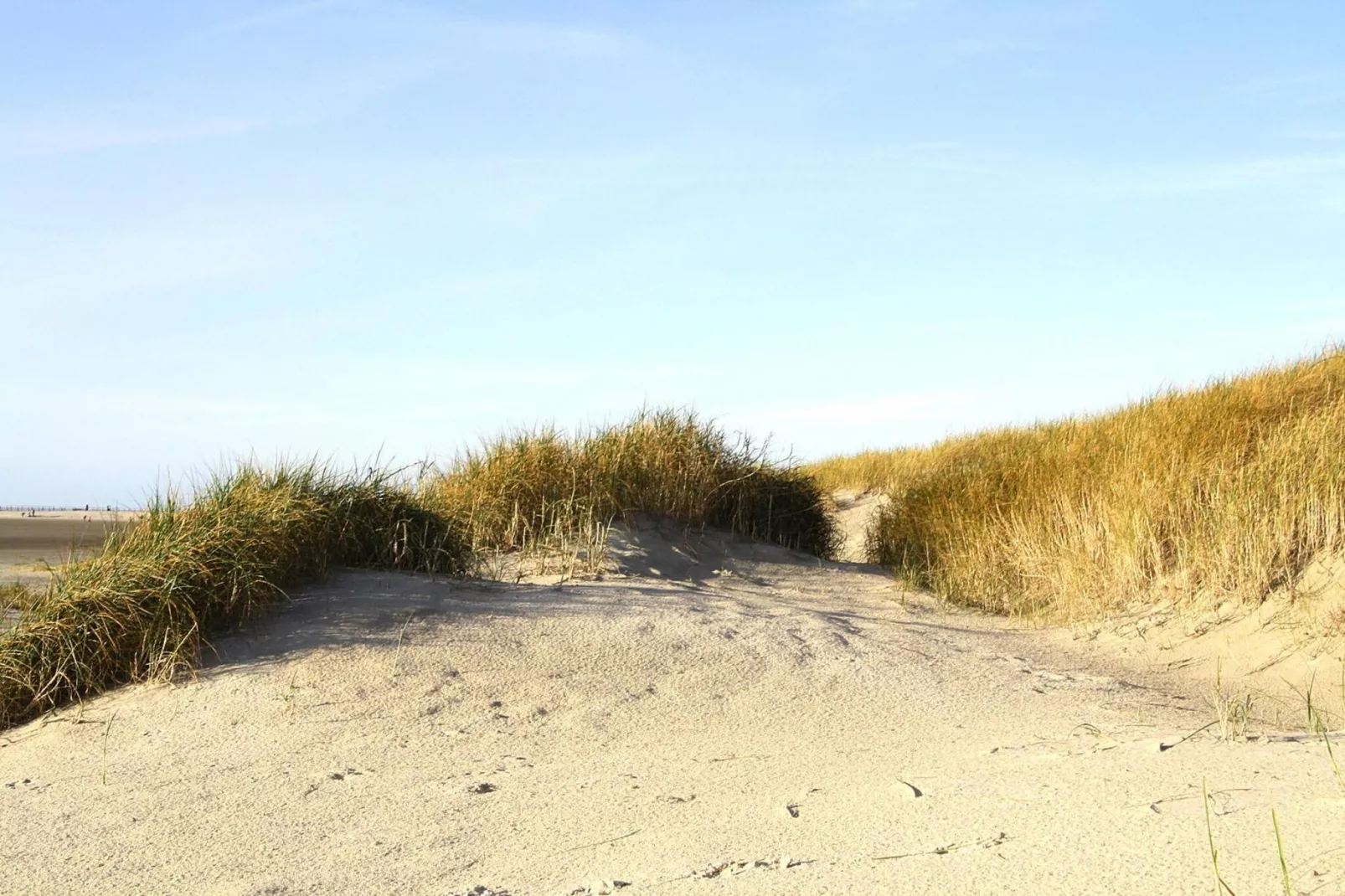 Ferienwohnung Watt 2-Gebieden zomer 5km