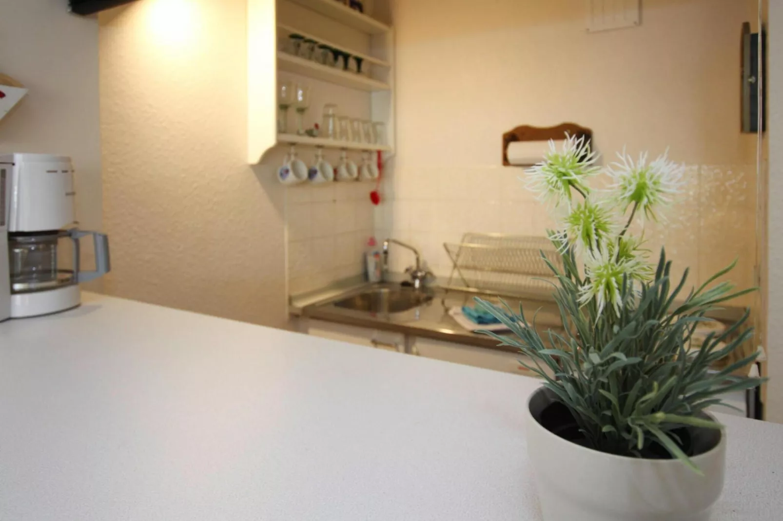 Ferienwohnung Atlantic St Peter - Ording-Keuken