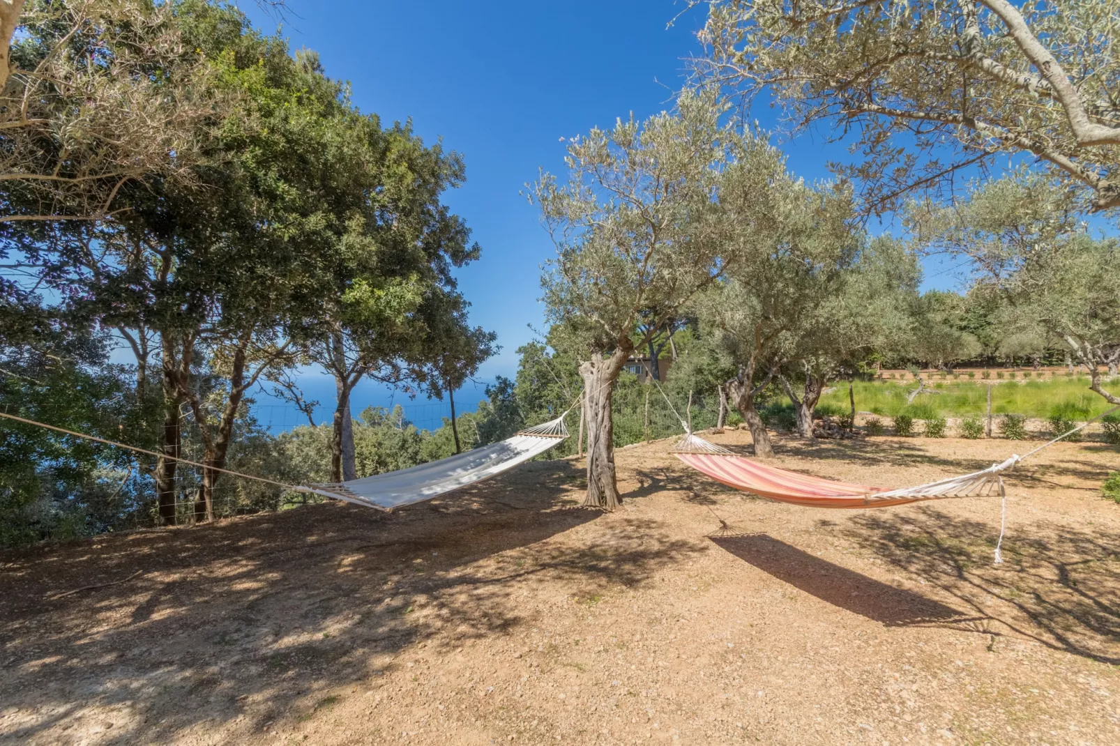 Son Galceran Petit, Finca 5StarsHome Mallorca-Tuinen zomer