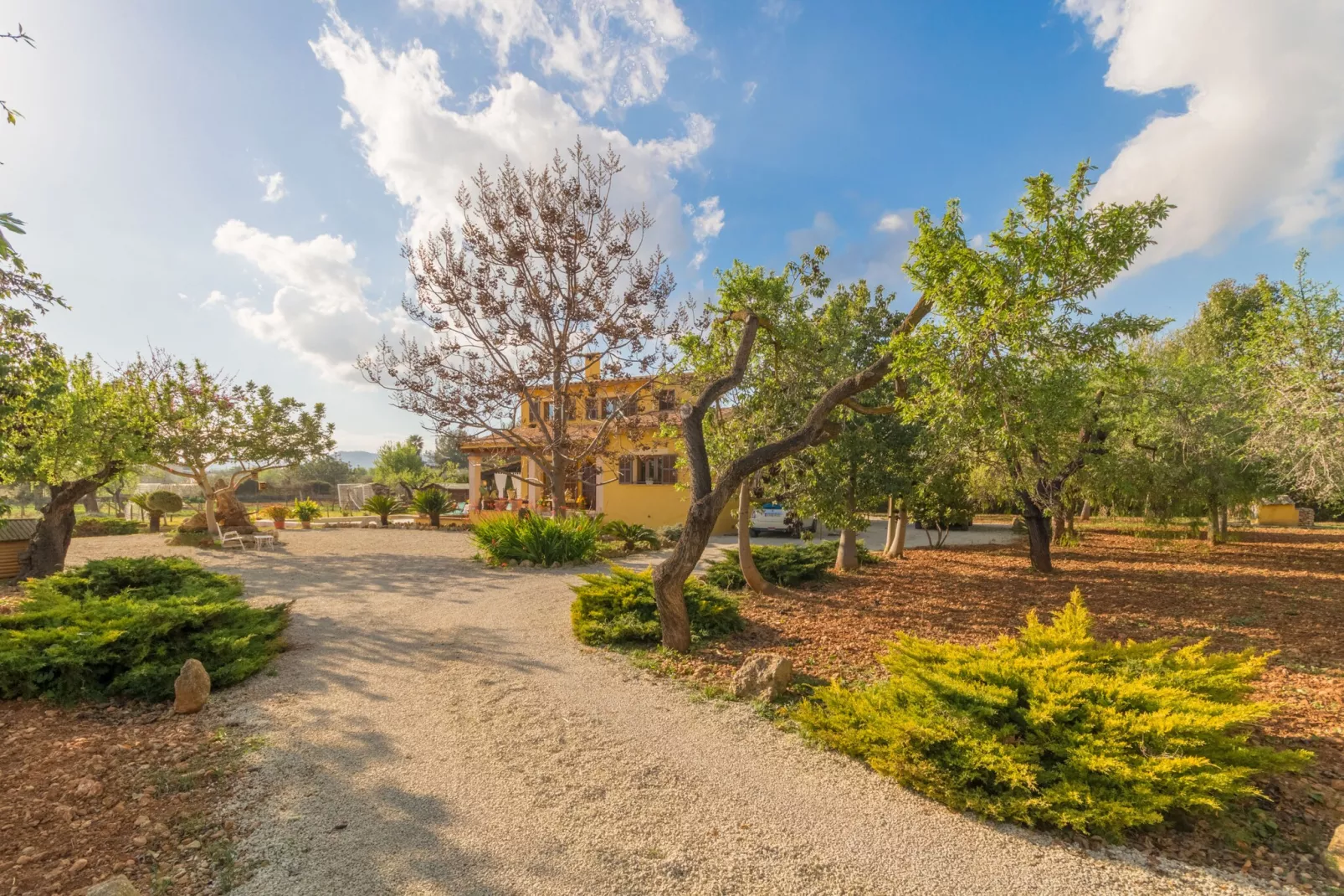 Sa Tanqueta Rustica, Finca 5StarsHome Mallorca-Tuinen zomer