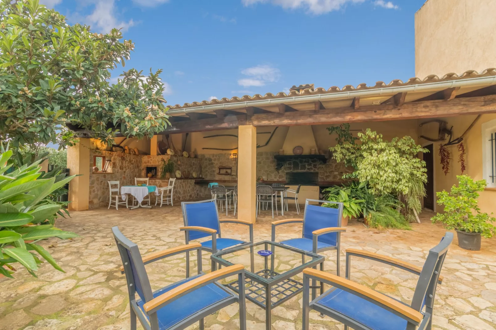 Antonio, Villa 5StarsHome Mallorca-Terras