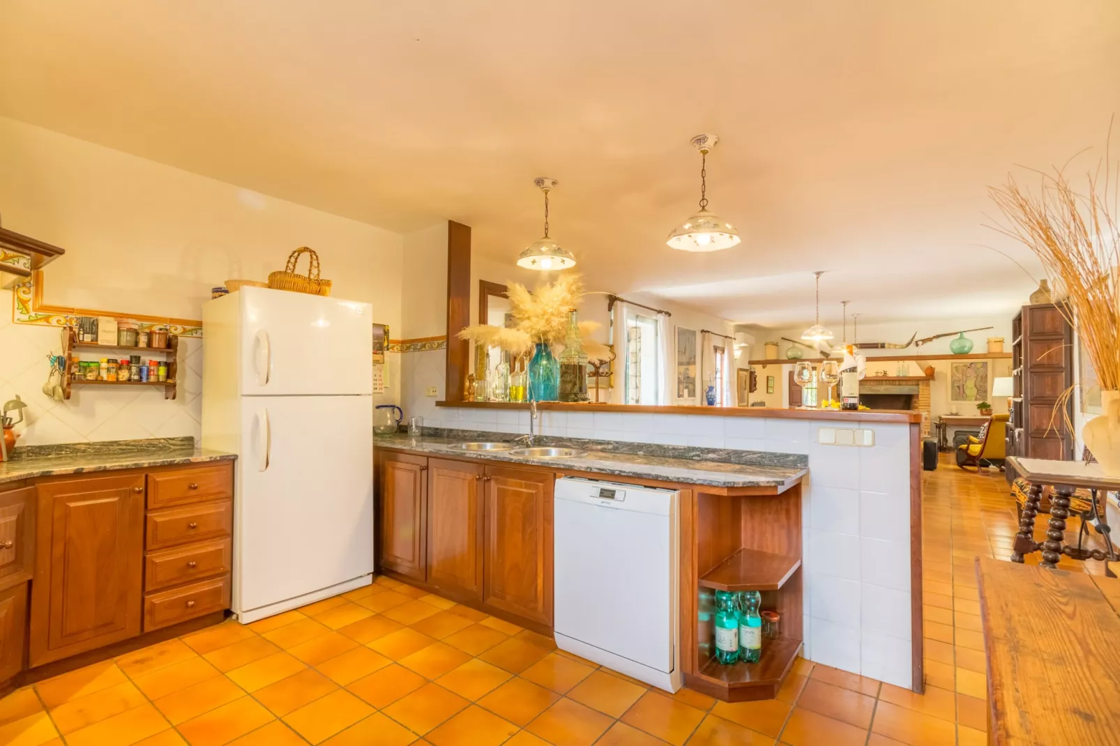 Antonio, Villa 5StarsHome Mallorca-Keuken