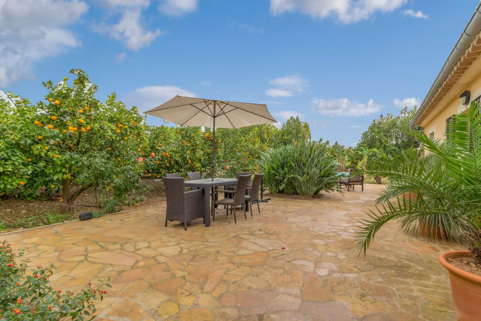 Son Fornes, Finca 5StarsHome Mallorca-Terras