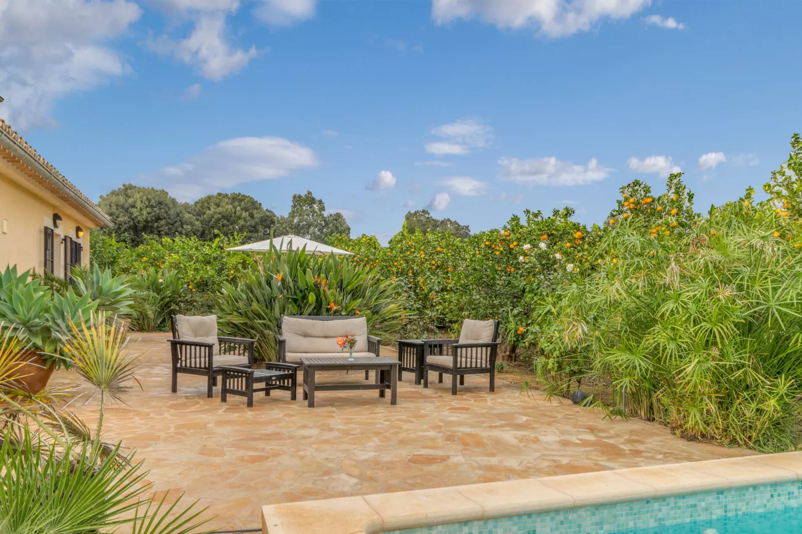 Son Fornes, Finca 5StarsHome Mallorca-Terras