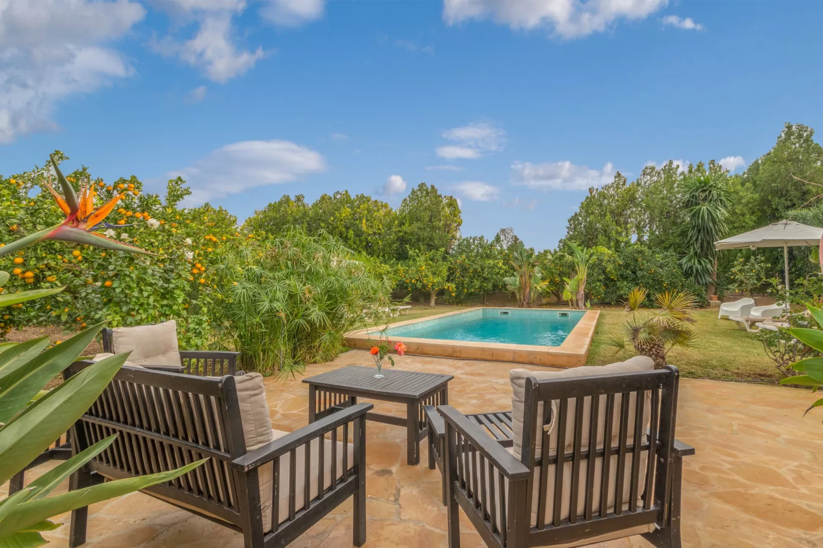 Son Fornes, Finca 5StarsHome Mallorca-Terras