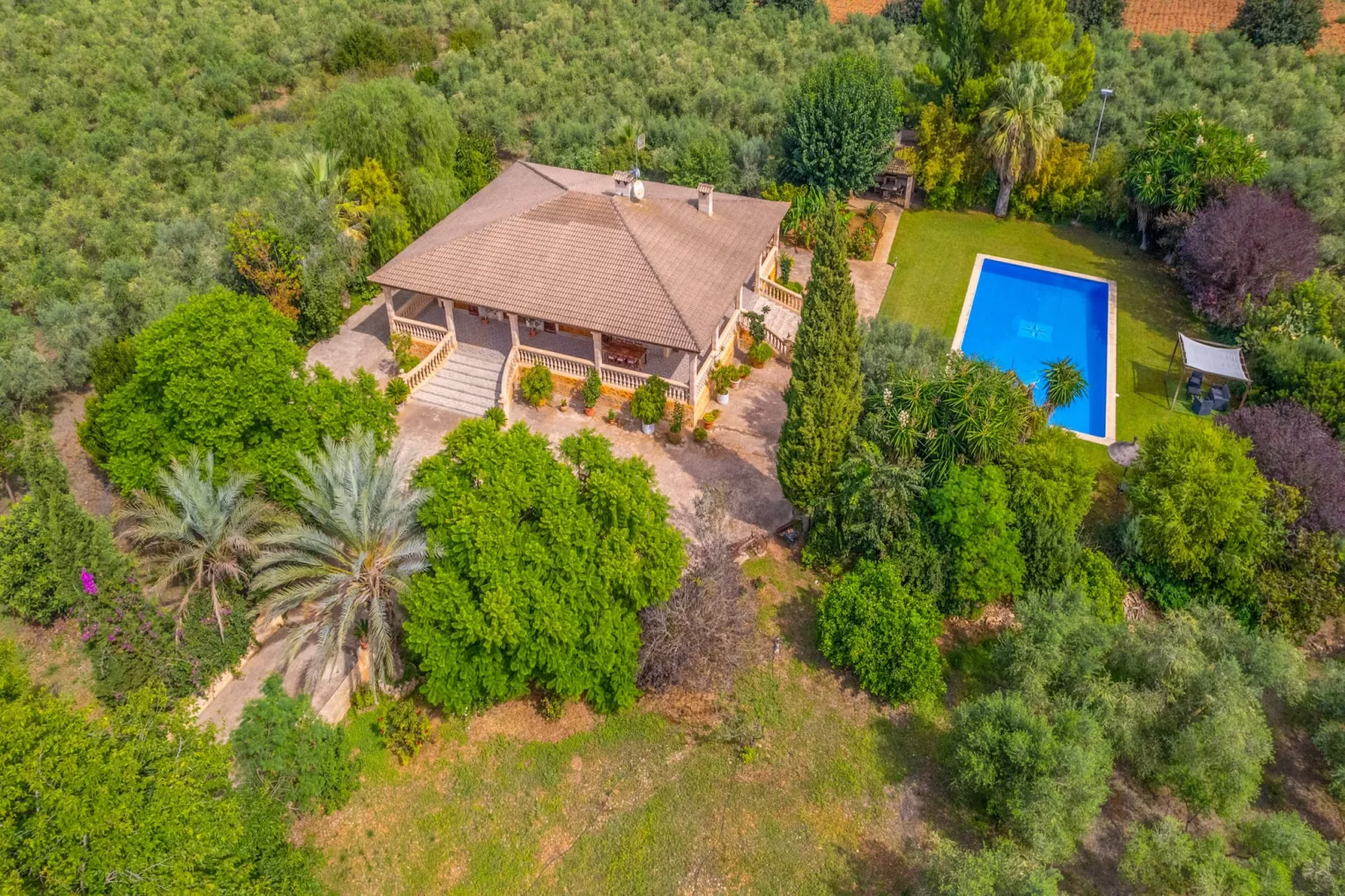 Dofi Blau, Villa 5StarsHome Mallorca-Buitenlucht