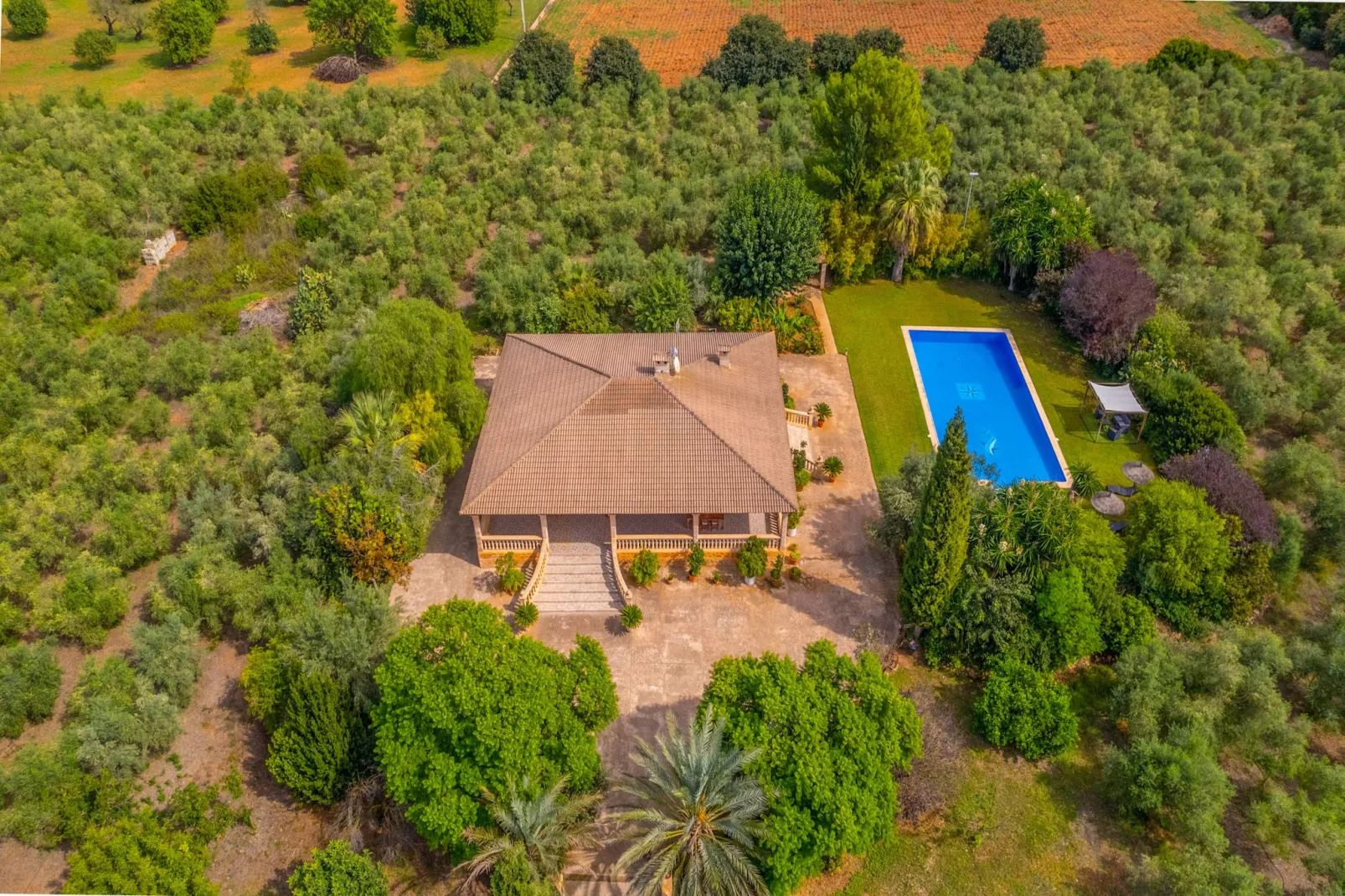 Dofi Blau, Villa 5StarsHome Mallorca-Buitenlucht