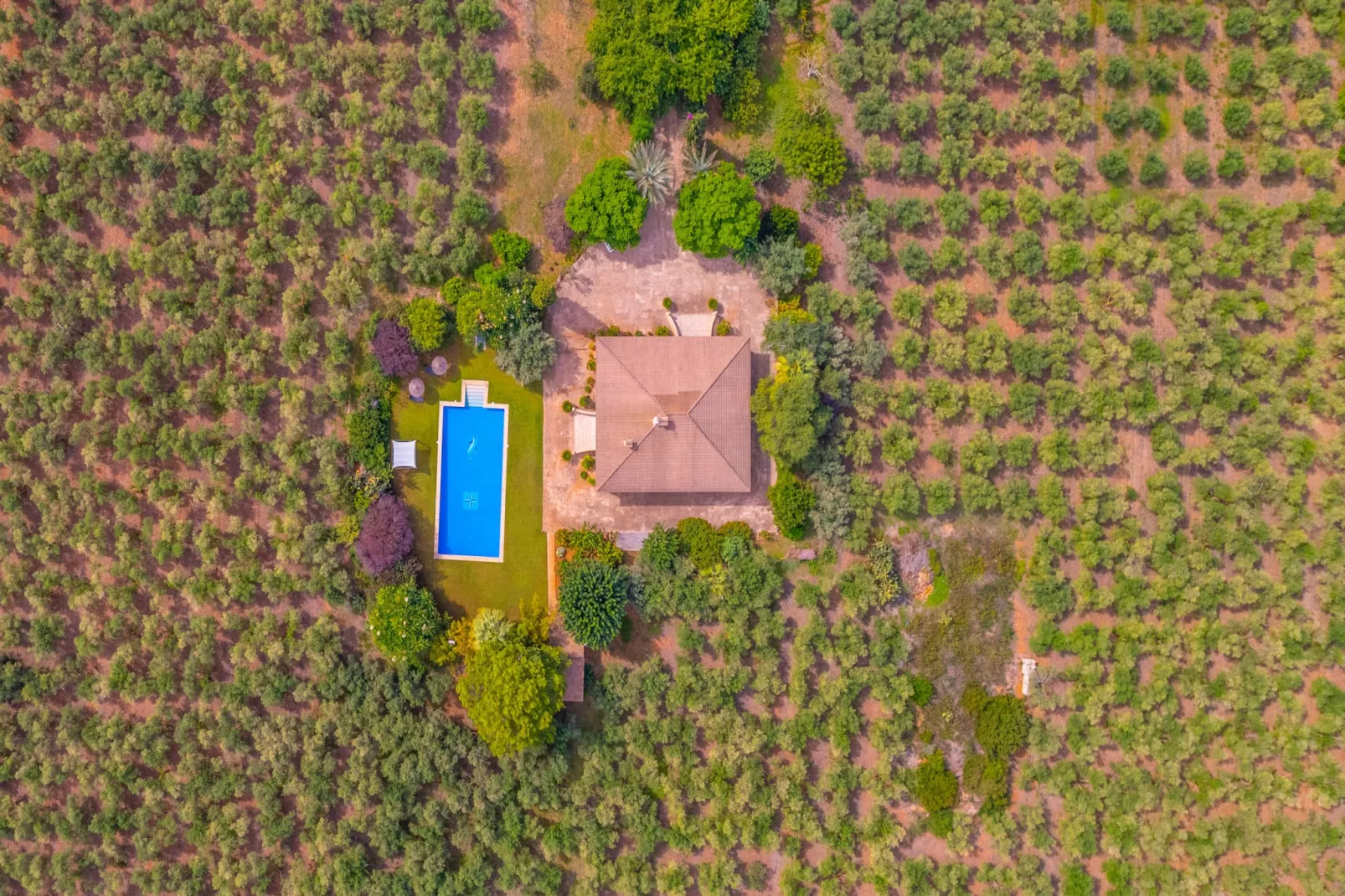 Dofi Blau, Villa 5StarsHome Mallorca-Buitenlucht
