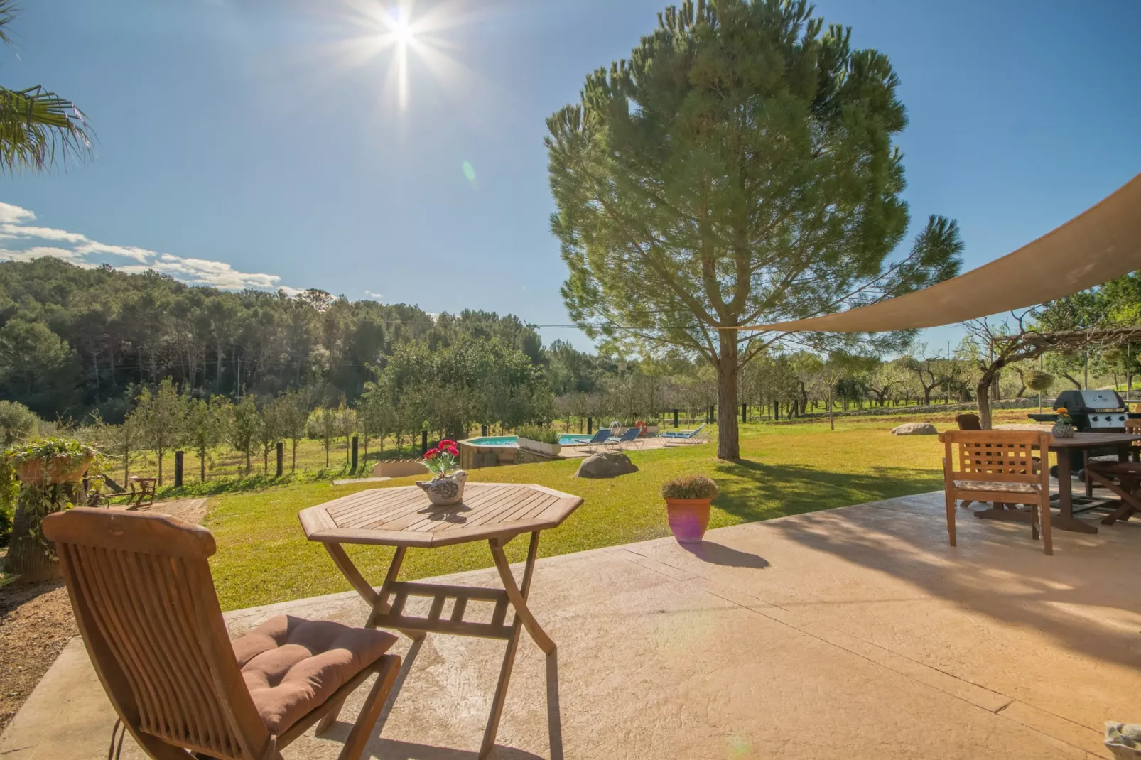 Vanyols, Finca 5StarsHome Mallorca-Tuinen zomer