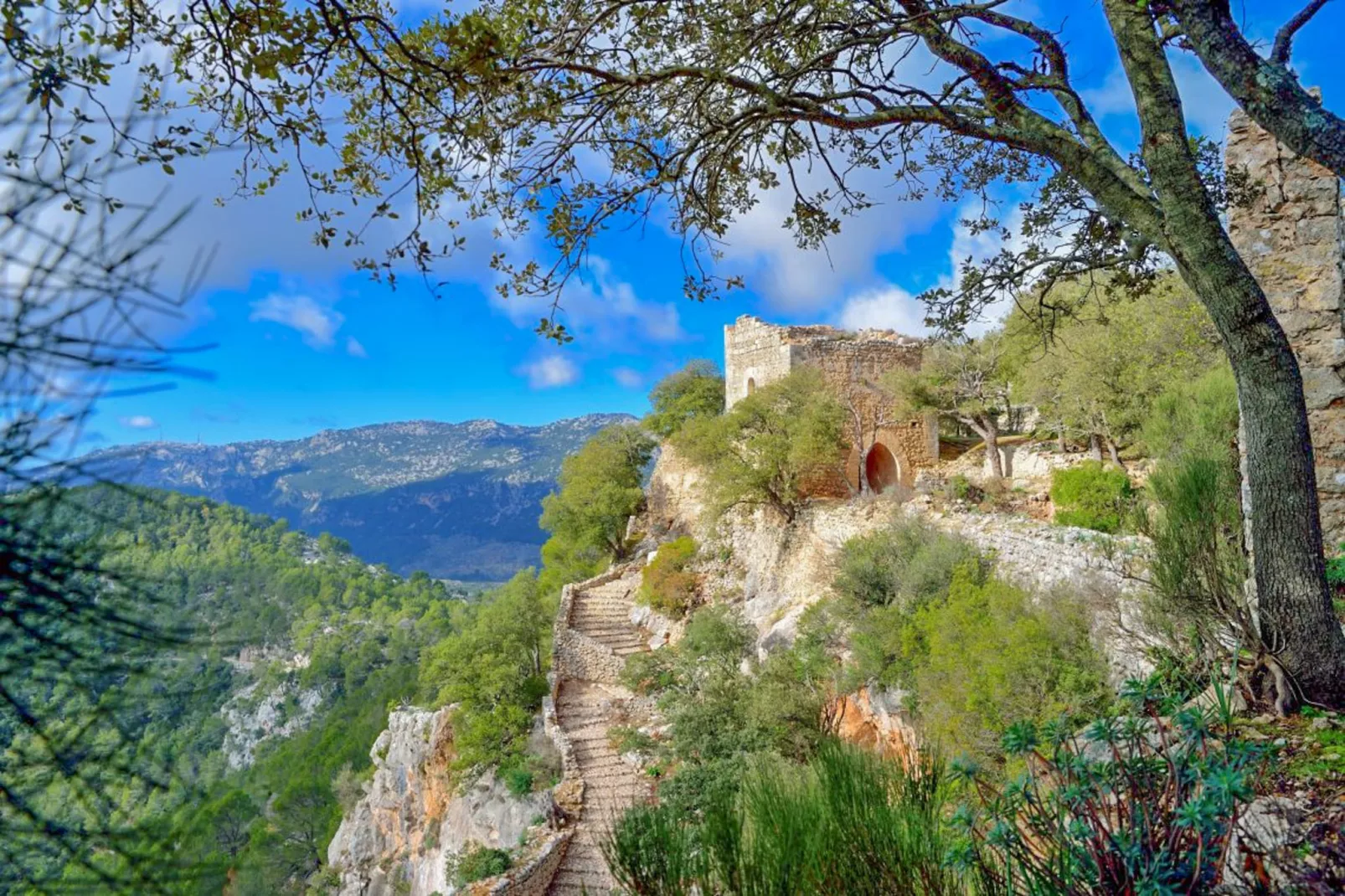 Vanyols, Finca 5StarsHome Mallorca-Gebieden zomer 1km