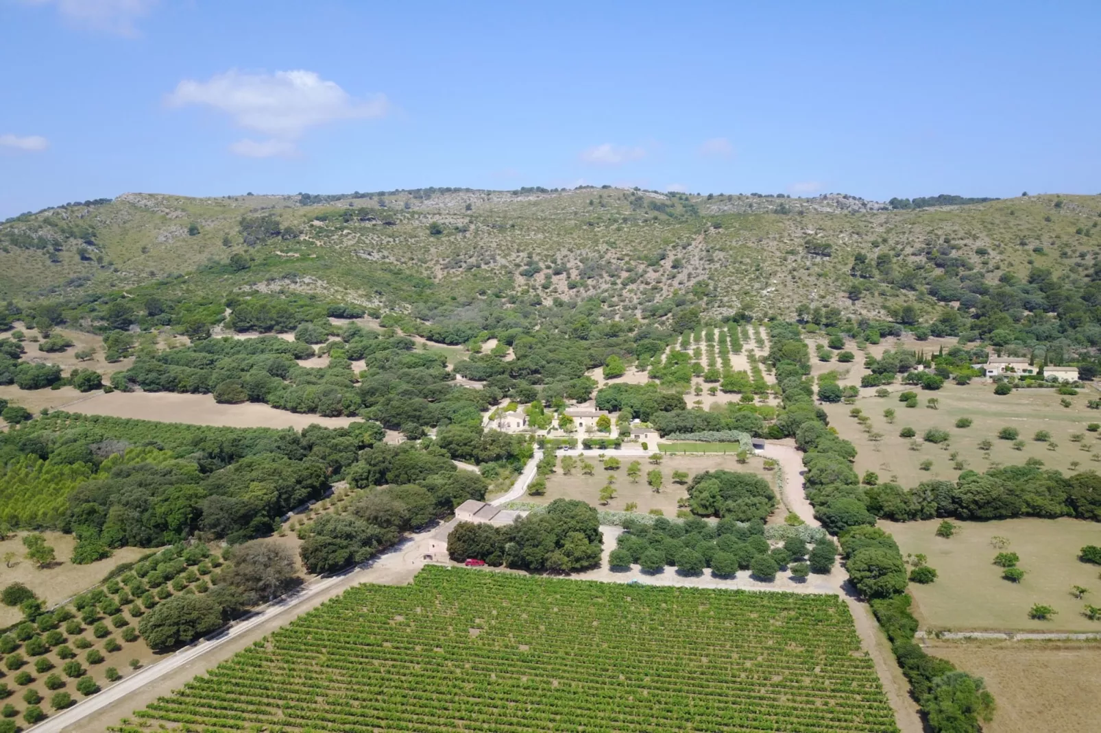 Son Simo Vell, Finca 5StarsHome Mallorca-Buitenlucht