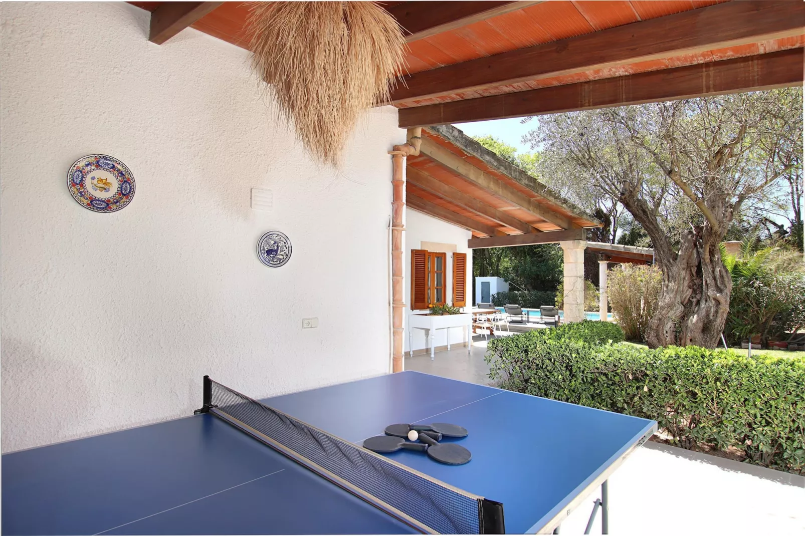 Anere, Villa 5StarsHome Mallorca-Terras