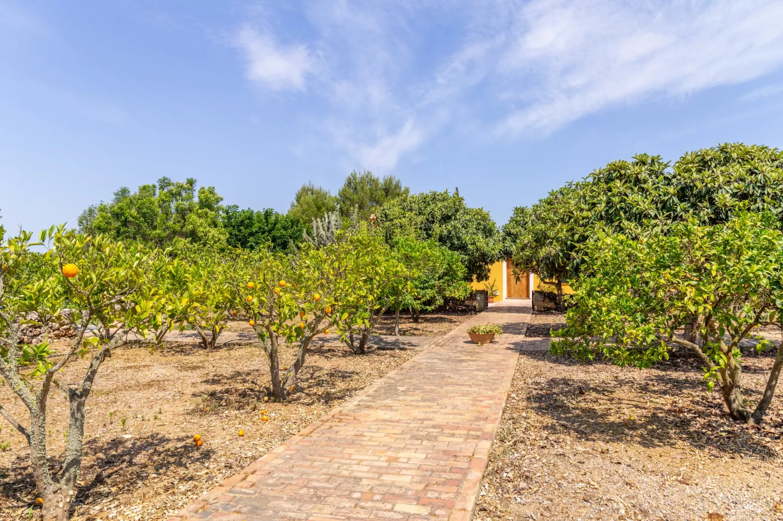 Ses Cases Son Blat, Finca 5StarsHome Mallorca-Gebieden zomer 1km