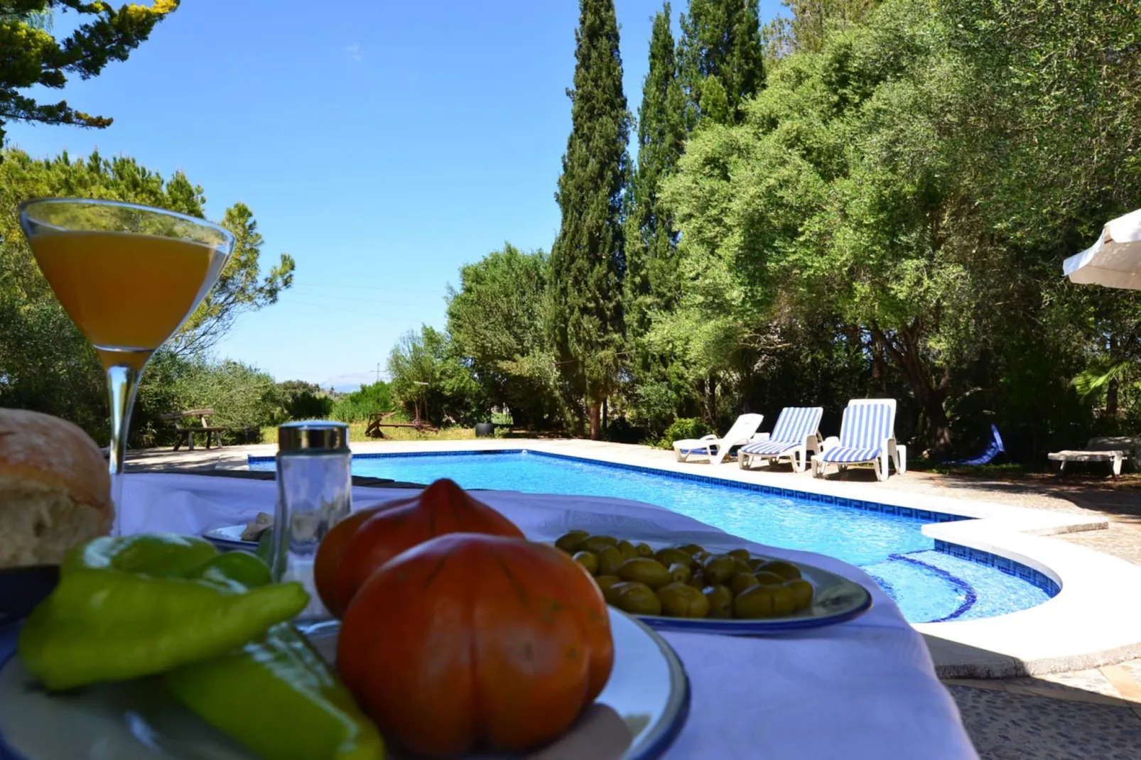 Son Palanca, Finca 5StarsHome Mallorca-Terras