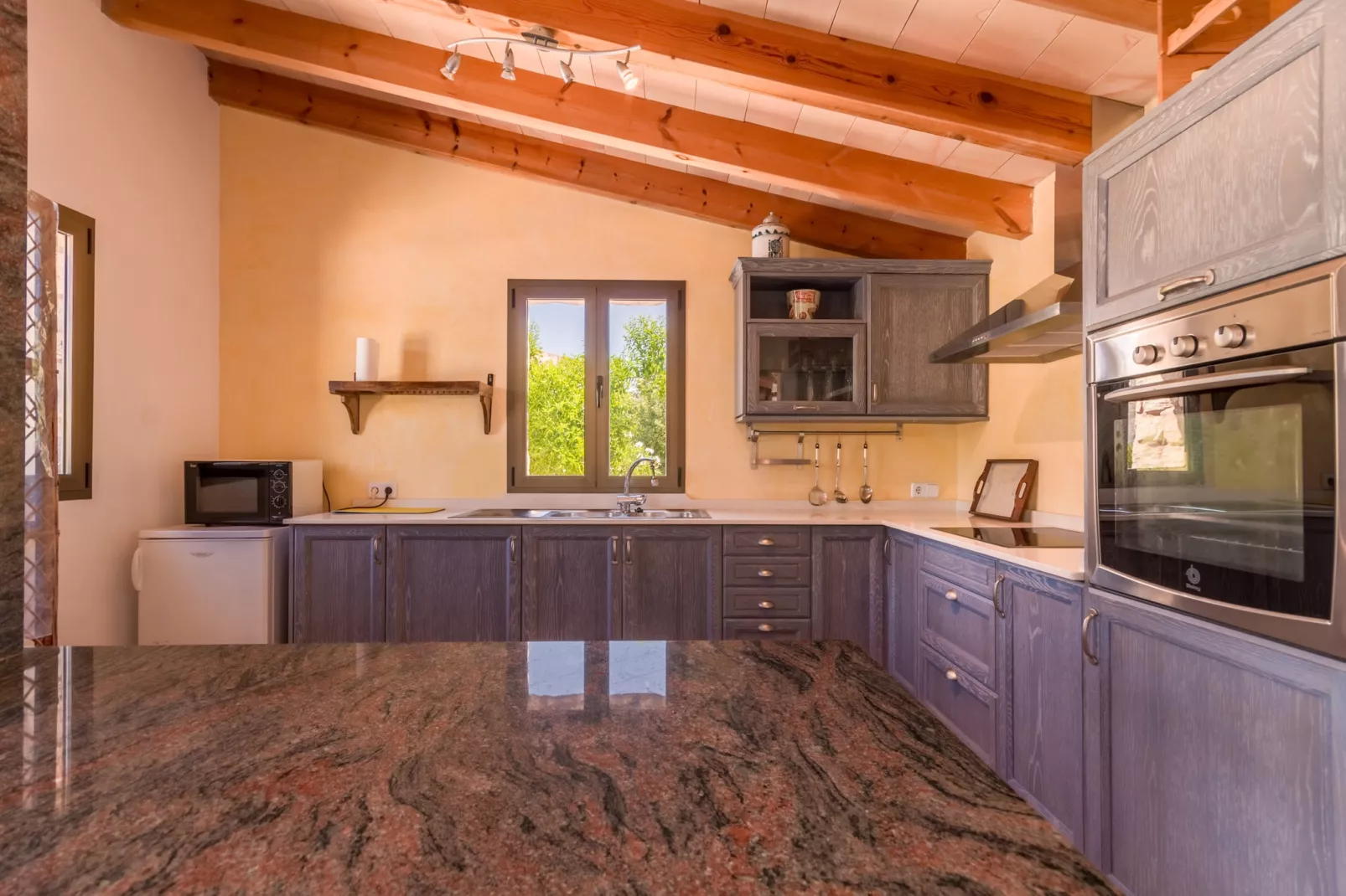 Buitre negro, Finca 5StarsHome Mallorca-Keuken