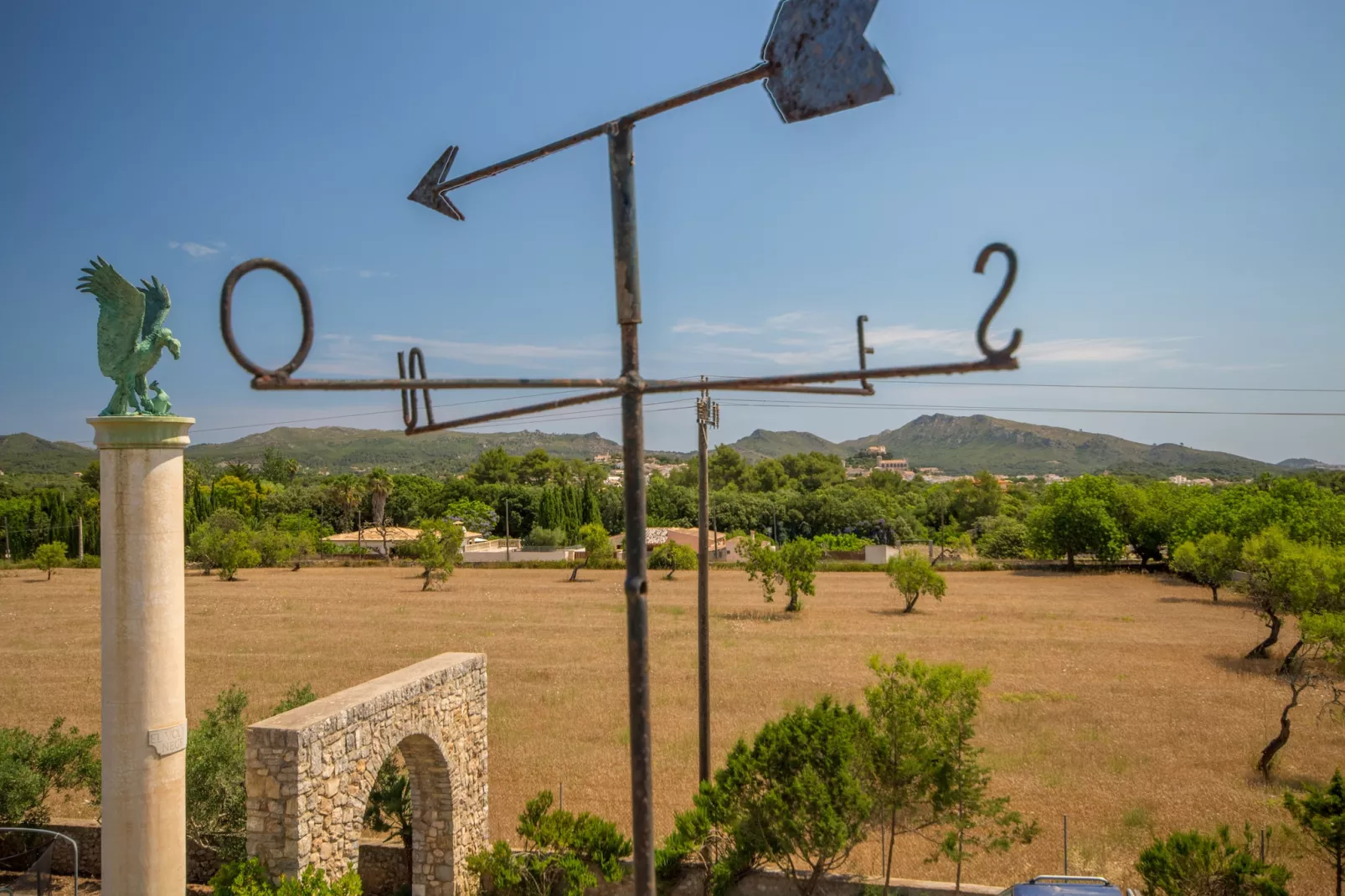 Buitre negro, Finca 5StarsHome Mallorca-Buitenlucht
