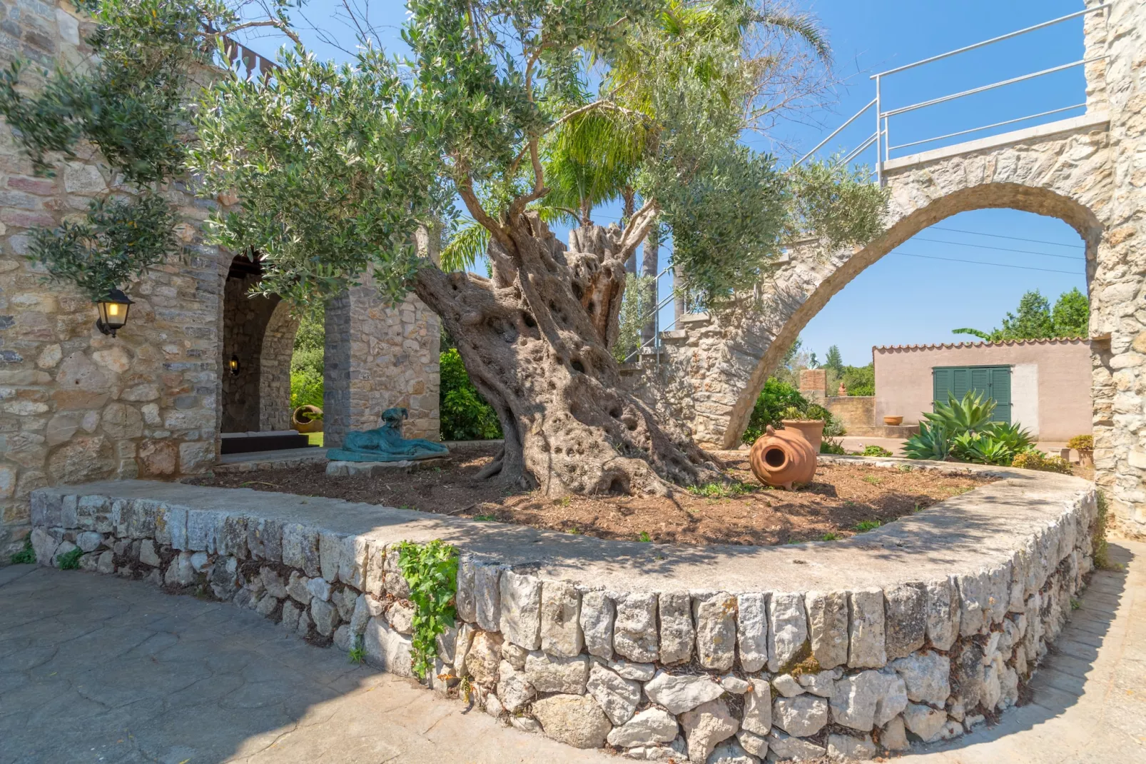 Buitre negro, Finca 5StarsHome Mallorca-Buitenlucht