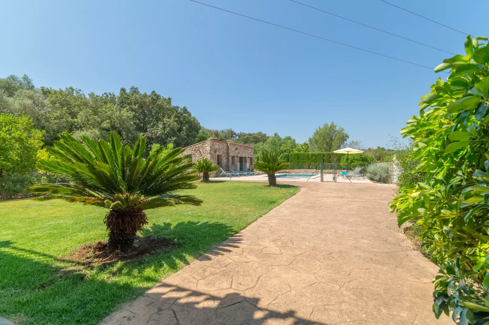 Buitre negro, Finca 5StarsHome Mallorca-Buitenlucht