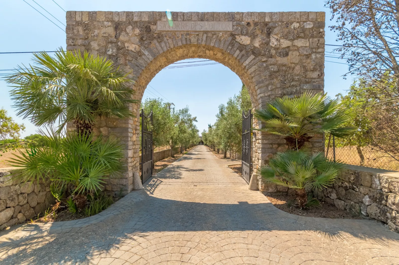 Buitre negro, Finca 5StarsHome Mallorca-Buitenlucht