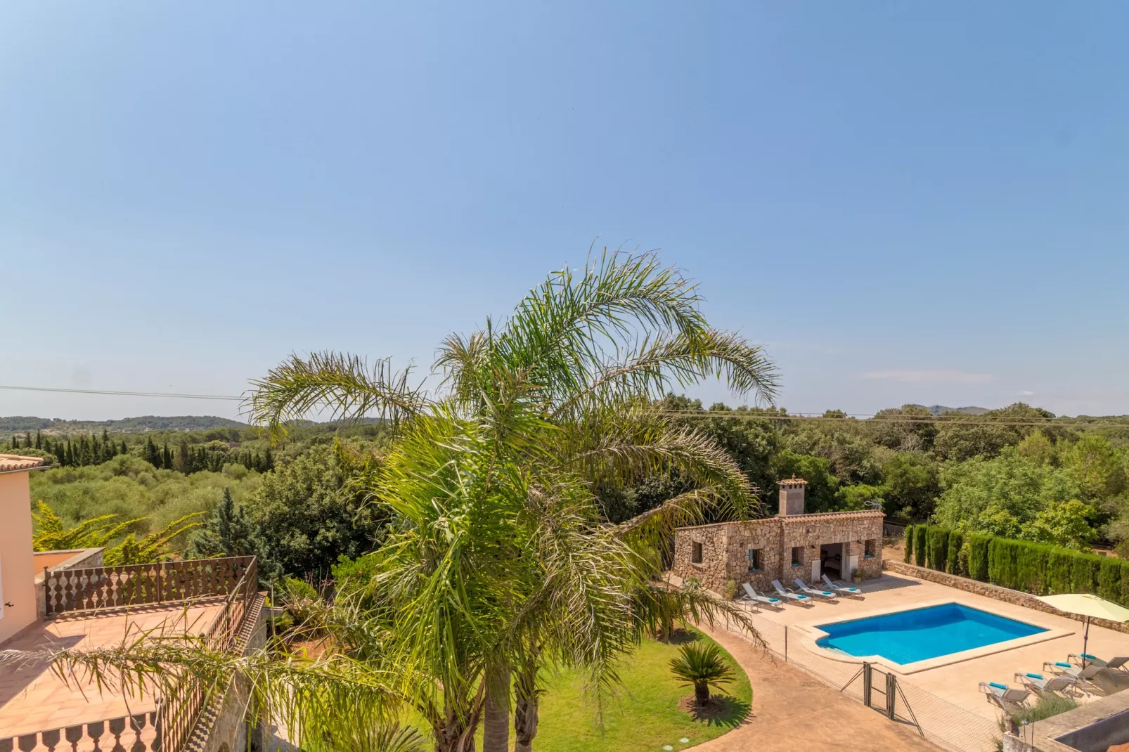 Buitre negro, Finca 5StarsHome Mallorca-Buitenlucht