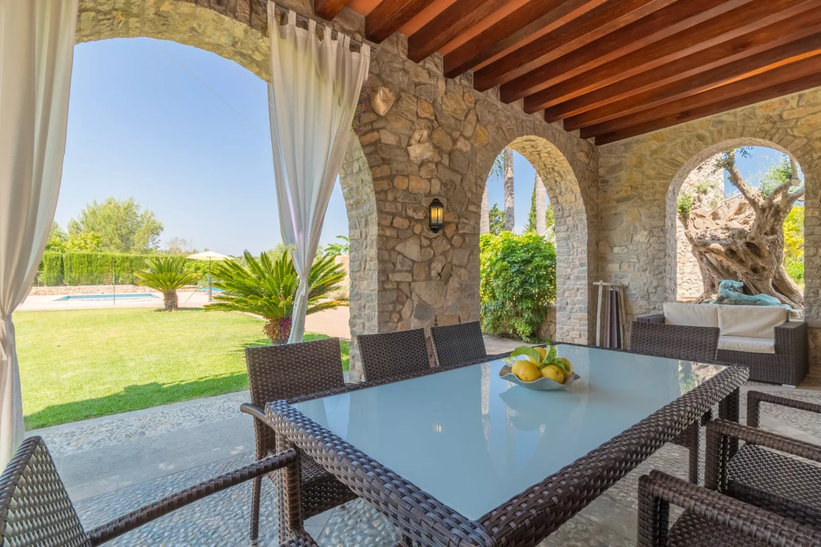 Buitre negro, Finca 5StarsHome Mallorca-Terras