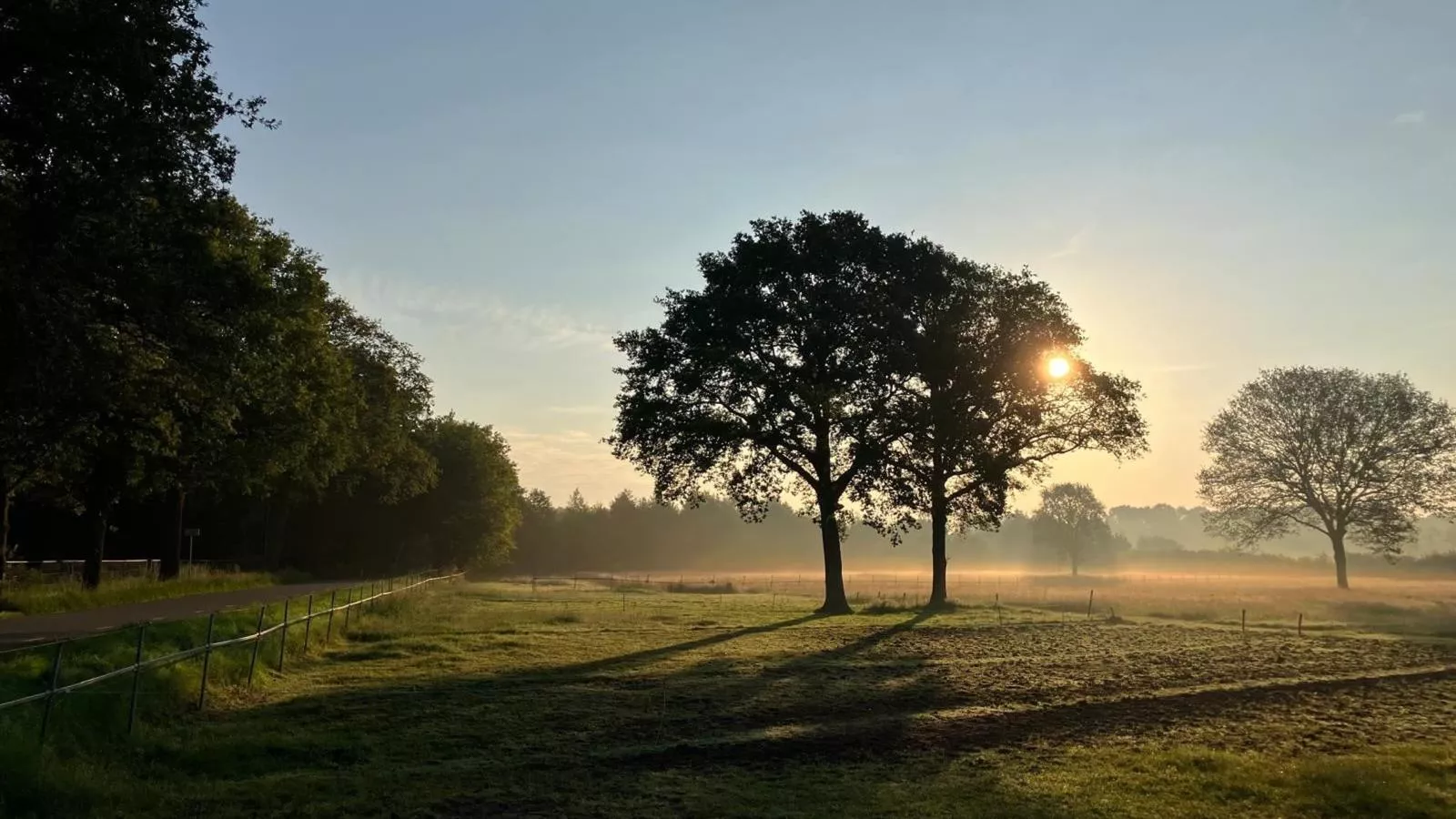 De Rouwenbogt-Uitzicht zomer