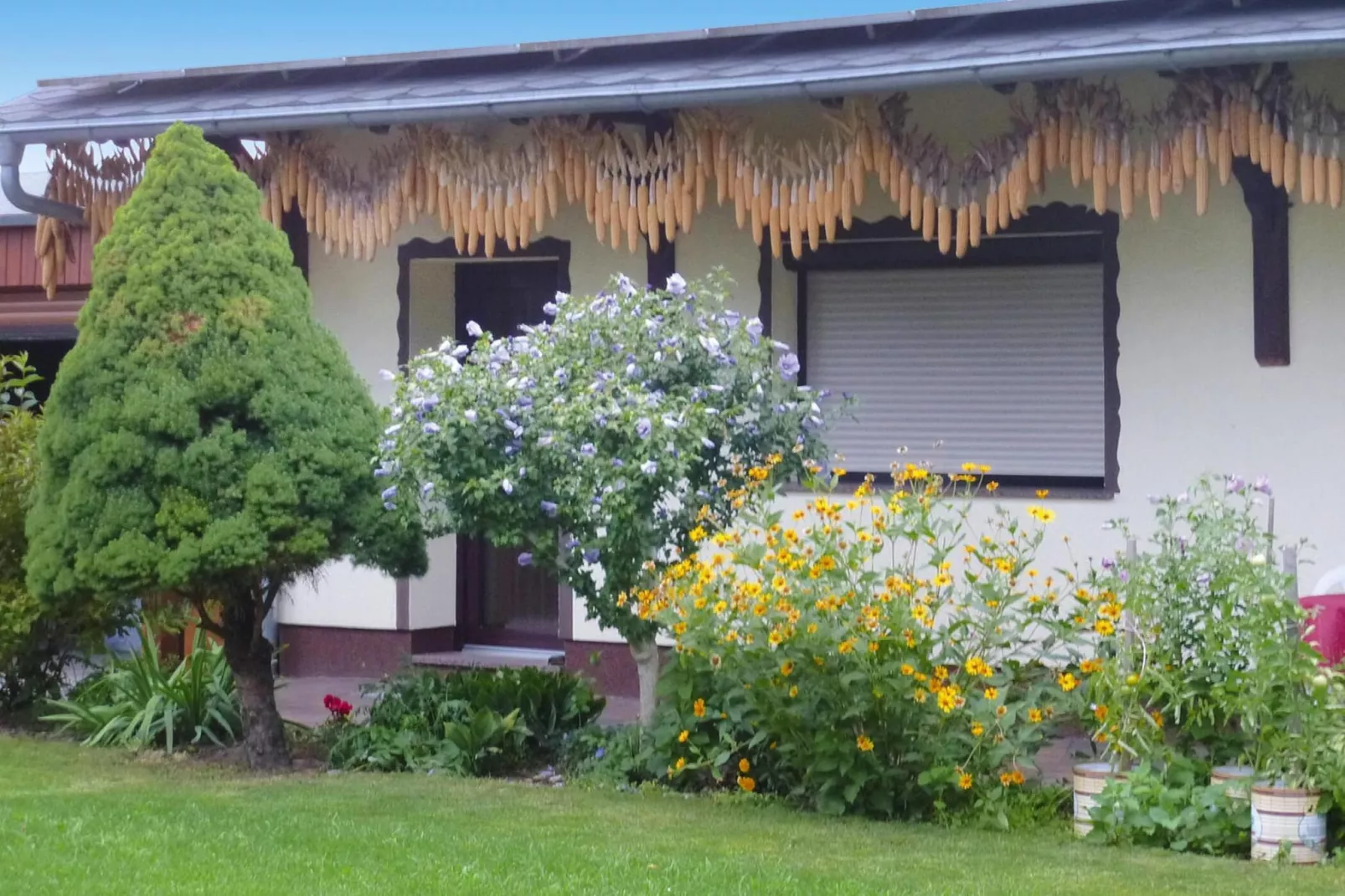 Reihenbungalow an einem Spreearm-Buitenkant zomer