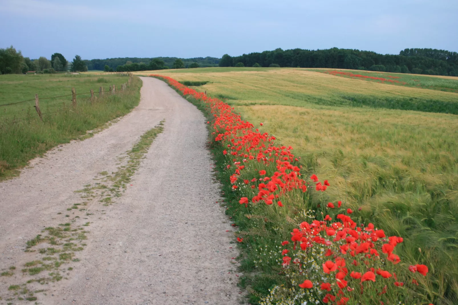 Stadthaus Klütz 3-Gebieden zomer 1km