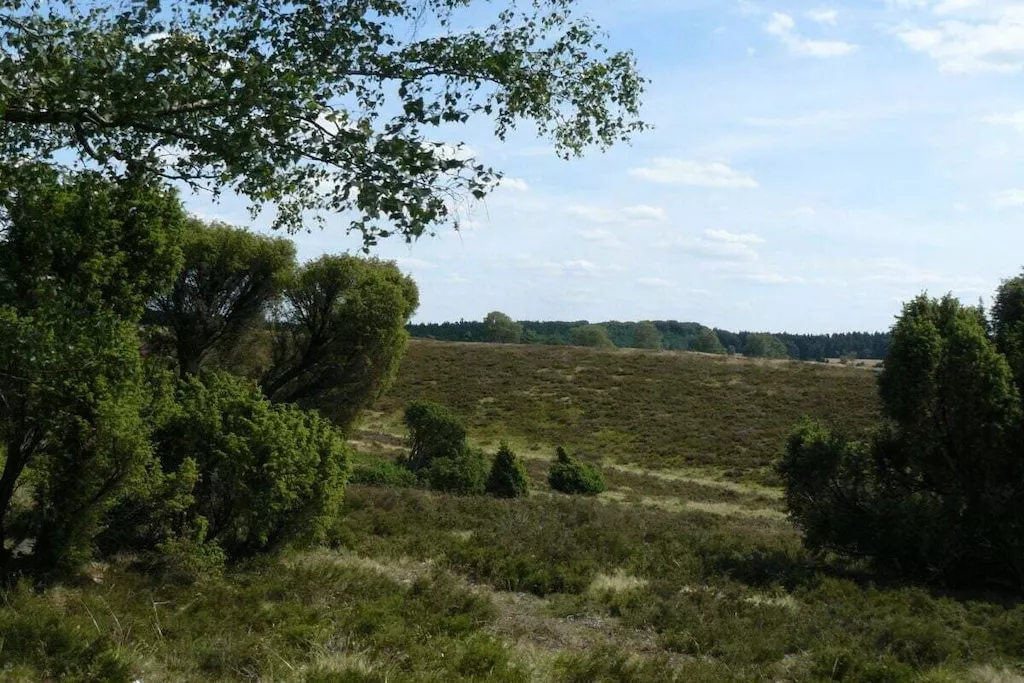 432893-Niet-getagd