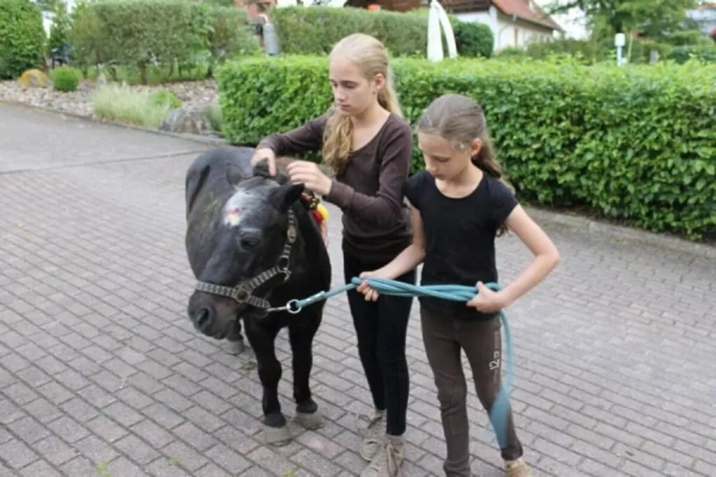 415295-Niet-getagd