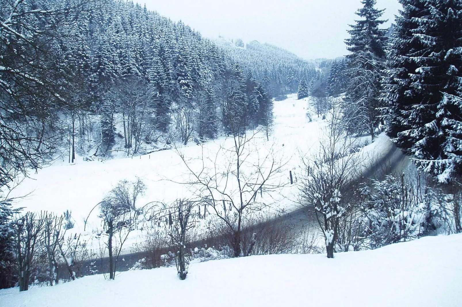 2 Raum App 4 Pers 55 qm-Gebied winter 5km