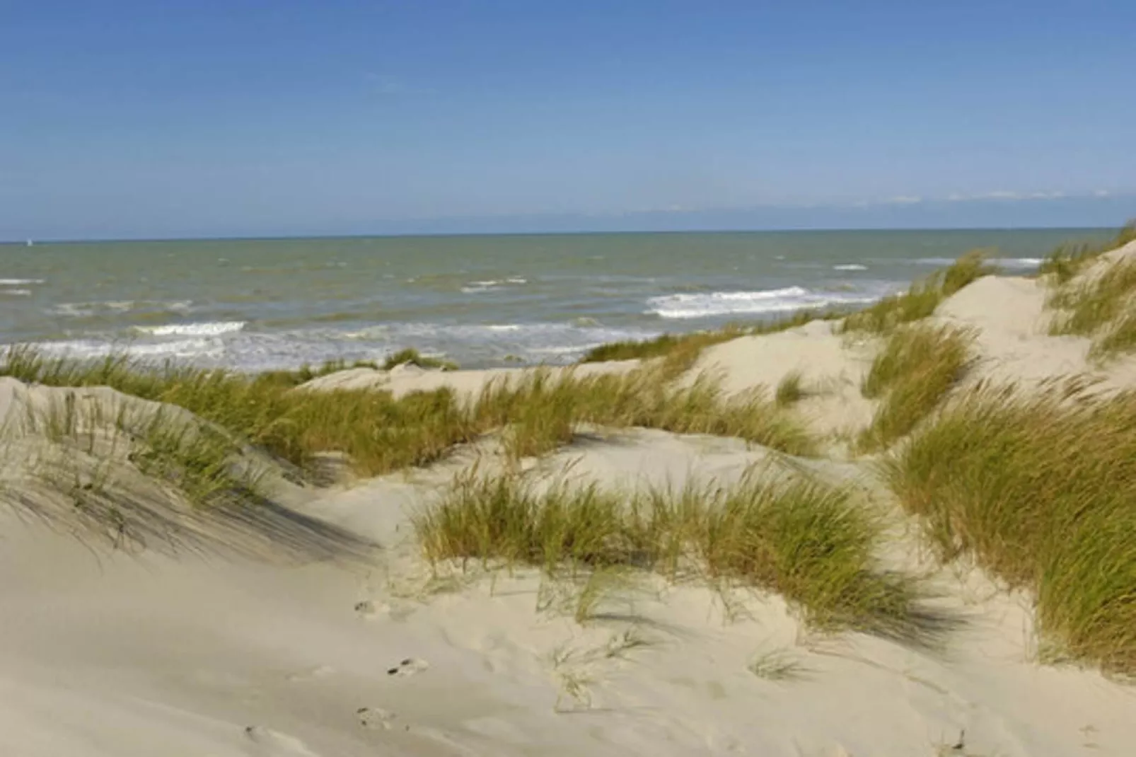 Ferienwohnung in Wyk auf Föhr - Wohnung 1-Gebieden zomer 5km